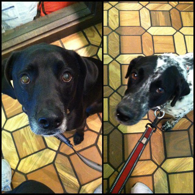 Celebrating Grandpa 2 IMG_6217