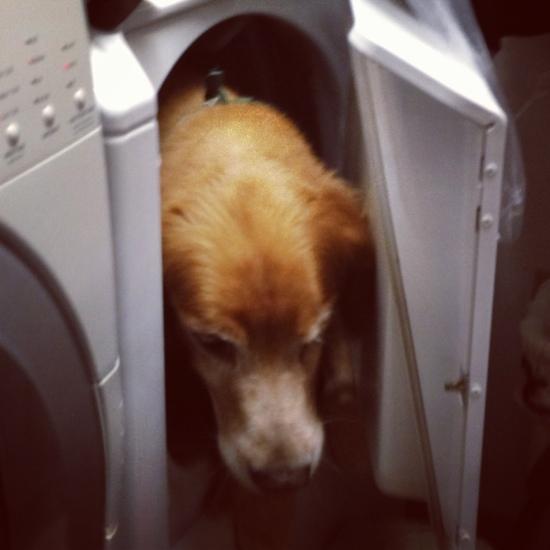 Friday Five 3 20130912-225554.jpg