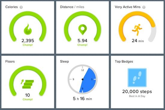 Fitbit Force Review 5 fitbit2