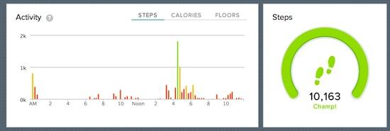 Fitbit Force Review 4 fitbit3
