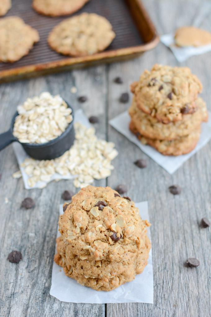 lactation snack recipes - dairy-free lactation cookies