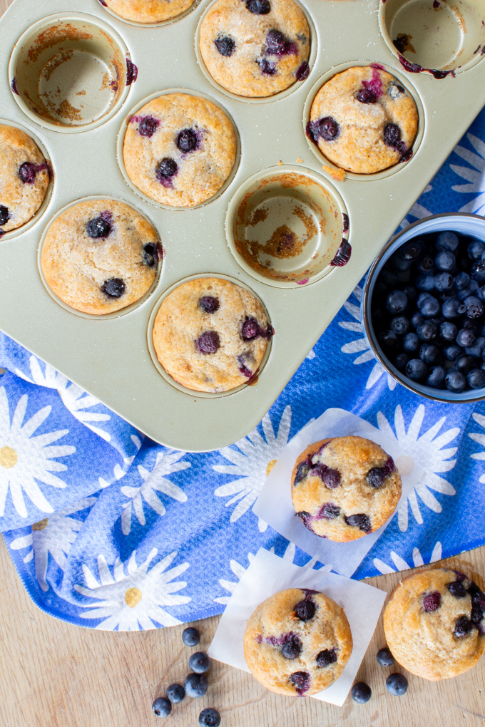 one bowl blueberry muffins