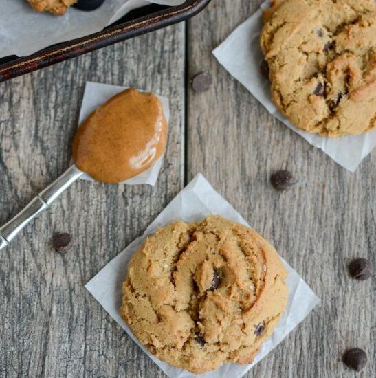 gluten free chocolate chip cookie 1 copy