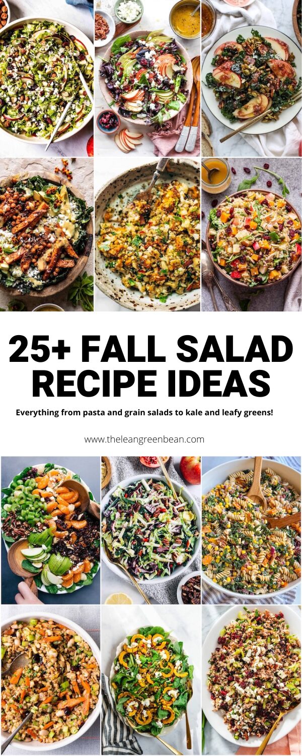 Here are some of the best Fall salad recipes. Whether you're looking for greens, grains or your favorirte Fall vegetables, this list has something for everyone!