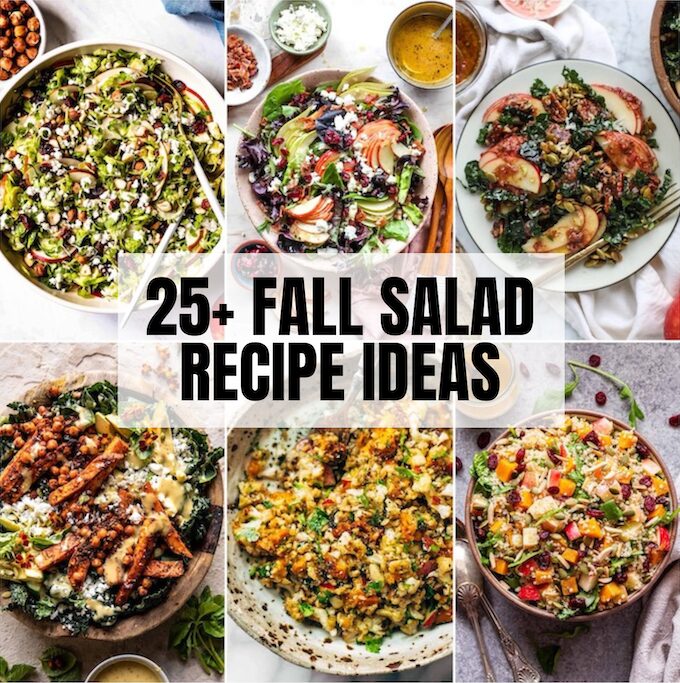 best fall salad recipe ideas