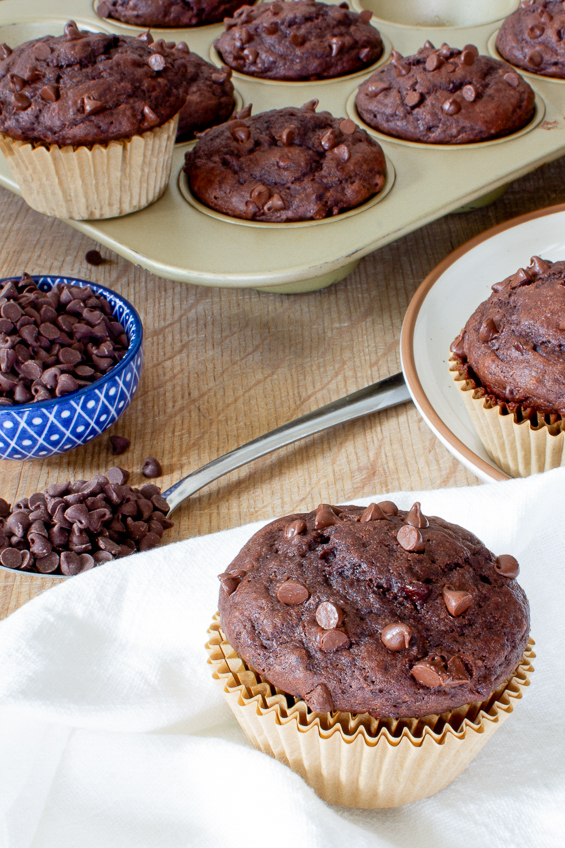 healthy chocolate muffins with Greek yogurt